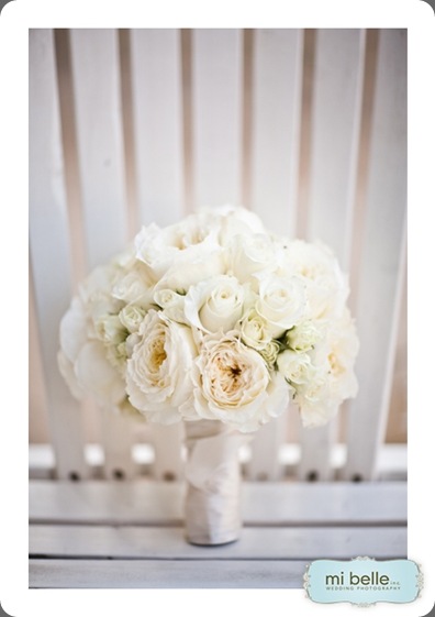 009 Mi Belle Inc Photography