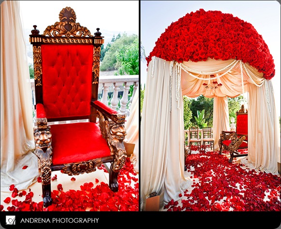 reshmashah_06 andrena photo