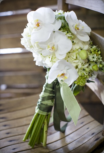 ACF968 amy osaba and our labor of love by heidi