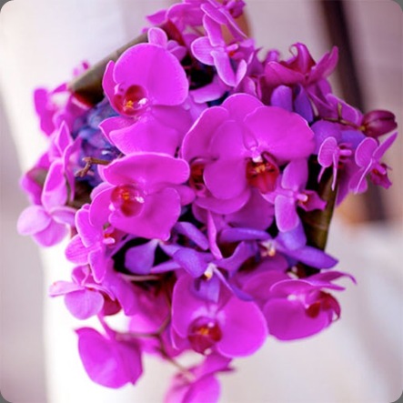 bouquet9 gingerleaf floral