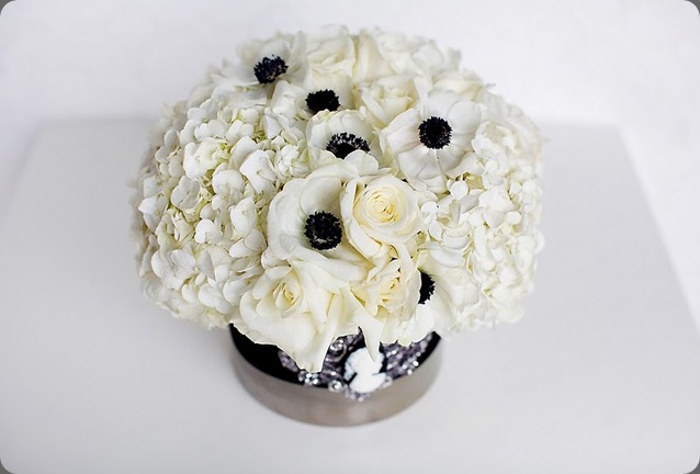 socialite2 JL Designs