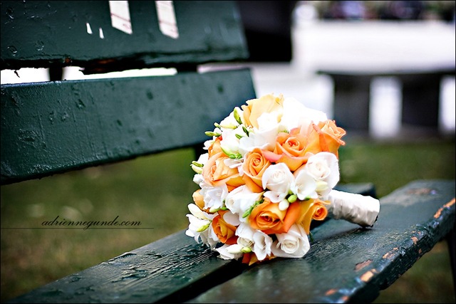 [abatzynguyen542adriennegundephoto5.jpg]