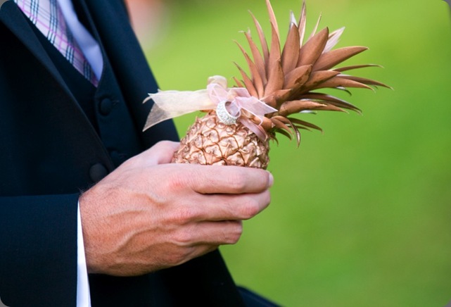 6a010534a9832e970b010536b5fd41970b ring pineapple yvonne design