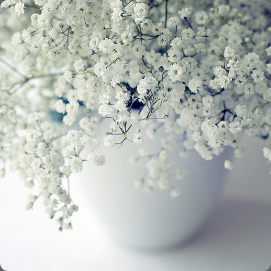 3338337799_e29ac14936 inspiration photography