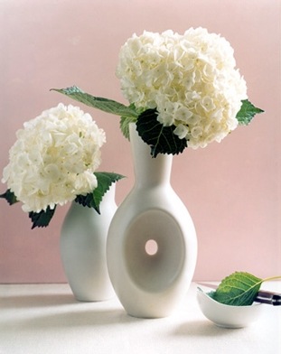 [hydrangeasKarenWisesFoodandArt5.jpg]