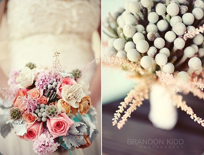 3952643674_fa9d290ce3 lauryl lane 3952643674_fa9d290ce3 lauryl lane