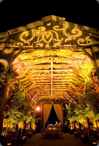 nelsont-a283 sasha souza