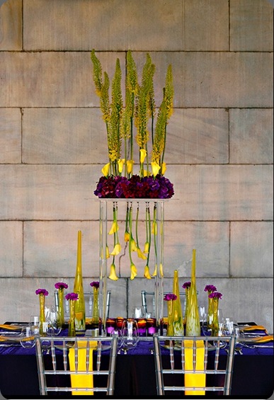 Picture-23 beautiful blooms