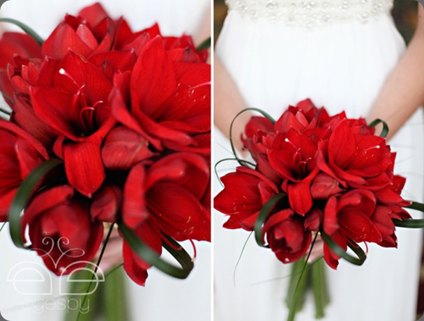 alblog_0009 eyespy wedding photo