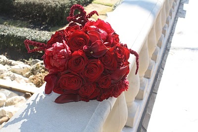 [IMG_5935lateedaflowers5.jpg]