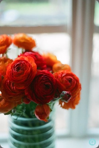 QWeddings_rununculus_flowers-tm Q weddings