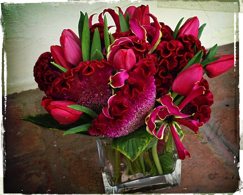 [pave01BIGcamelbackflowershop5.jpg]