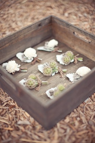 [jodienathan6JLDesigns5.jpg]