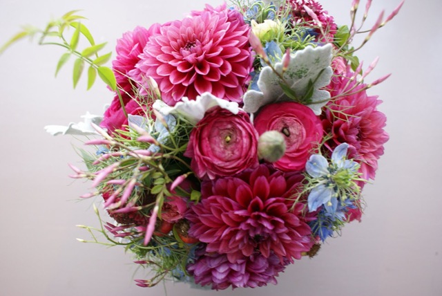 [DSC07954poppiesandposies5.jpg]