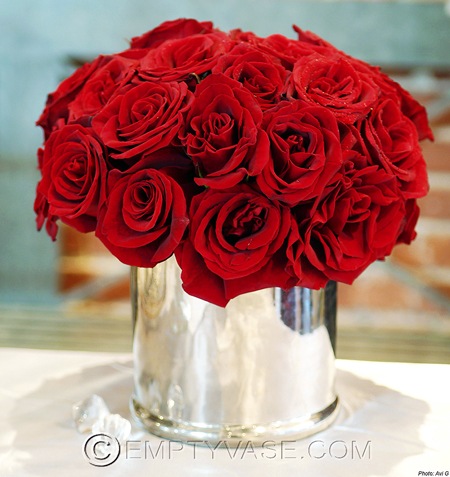 [06082MDemptycase6.jpg]