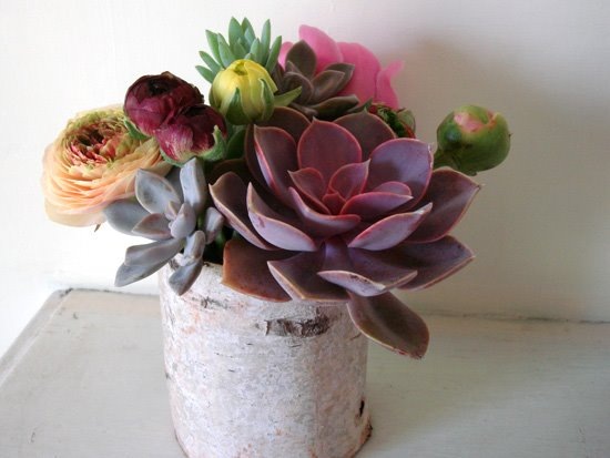 [DSC02680smallstumpblogspot5.jpg]