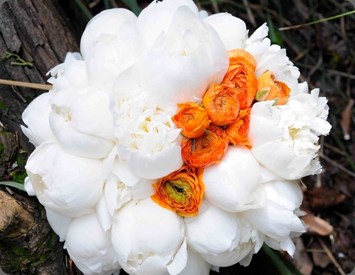 DSC_0163 altlier joya