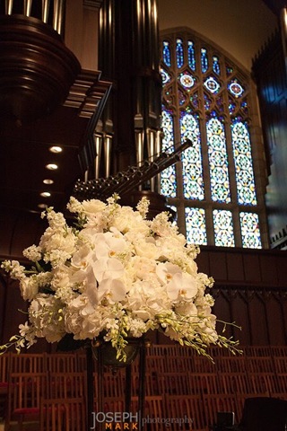 [JaynesForHala_0016bellaflora5.jpg]