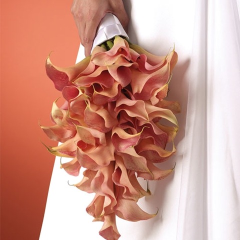 [callalilyteardropbouquetws10811origi.jpg]