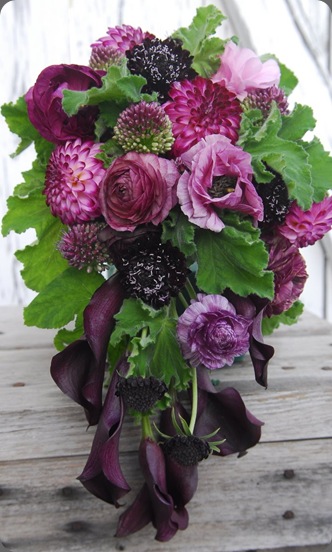 the daily petal8