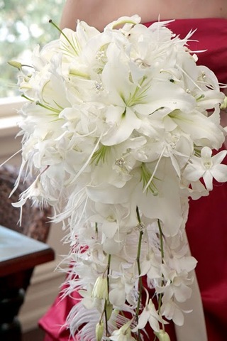 [whitefeathersjessParkPlacedesign5.jpg]