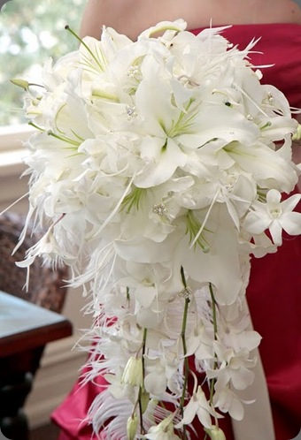white feathers jess~ Park Place design