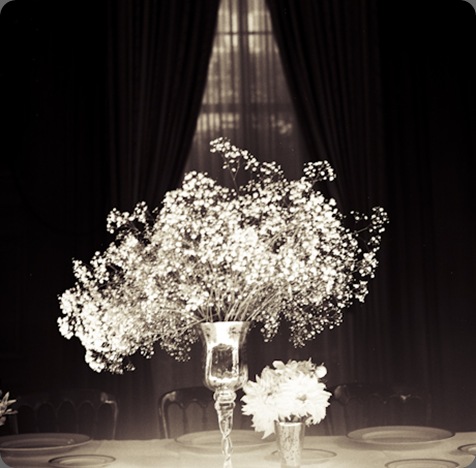 Gia Canali Photography