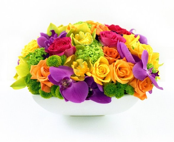 [citruspavehilarymilesflowers5.jpg]