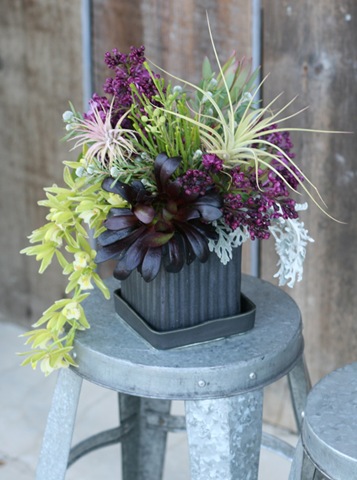 [moody4floragrubbthecuttinggarden5.jpg]