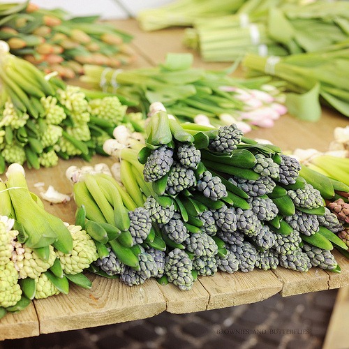 [tumblr_kzn1lseCmh1qb3edao1_500-its-m[2].jpg]