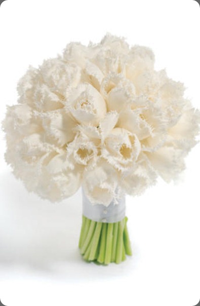 'honeymoon' tulips robbie honey and wedding magazine UK