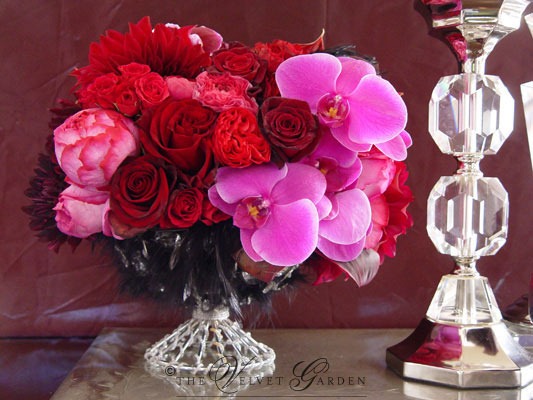 [col0101-the-velvet-garden5.jpg]