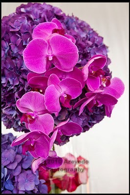 [Photo-23-bella-flora5.jpg]