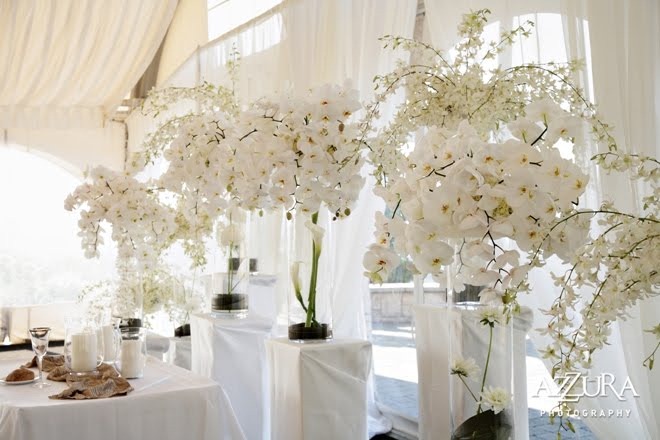 [white-phalaenopsis-orchids-wedding-f[1].jpg]