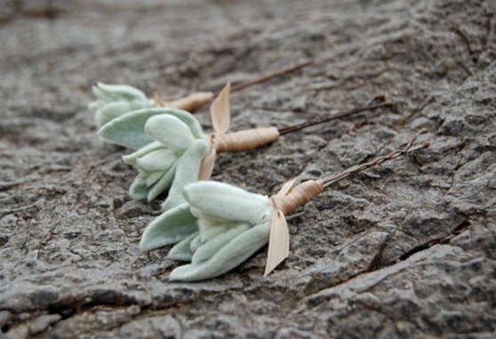 9.MFGLambsEarHairPins the monkey flower group