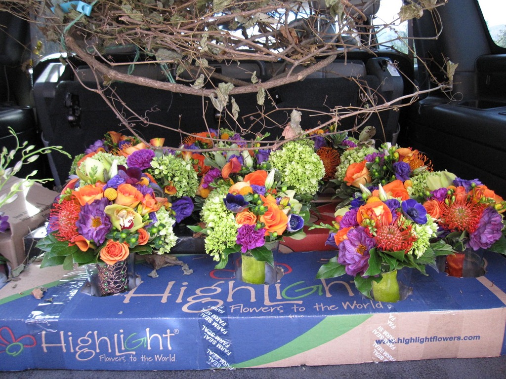 [IMG_7517-landscape-and-lifestyles-bl[1].jpg]