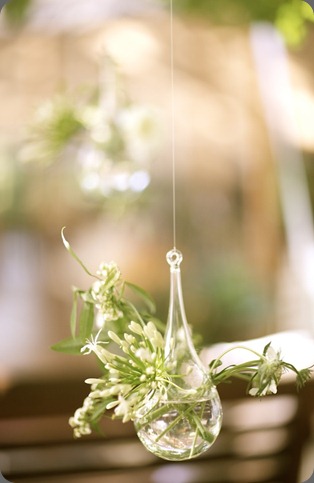 118 beautiful blooms