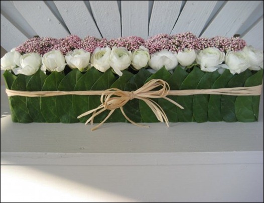 pygmalian designs ct 9