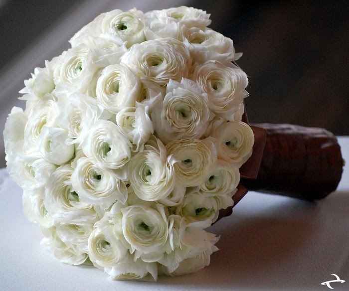 [White-Flowers---Hopetoun-House---Pla[1].jpg]