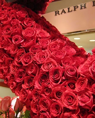 [IMG_0064-2000-hot-lady-roses-little-[1].jpg]