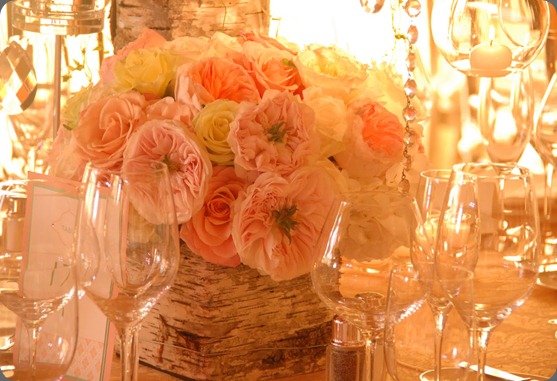 DSC_0390 white lilac inc