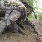 DSCN0027.JPG