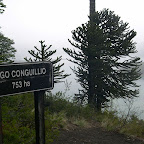 DSCN0030.JPG