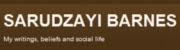 The Sarudzayi Barnes Blog The Sarudzayi Barnes Blog