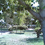 Davutlar 2006-06-27 10-42-25.jpg