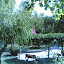 Davutlar 2006-06-27 10-42-40.jpg