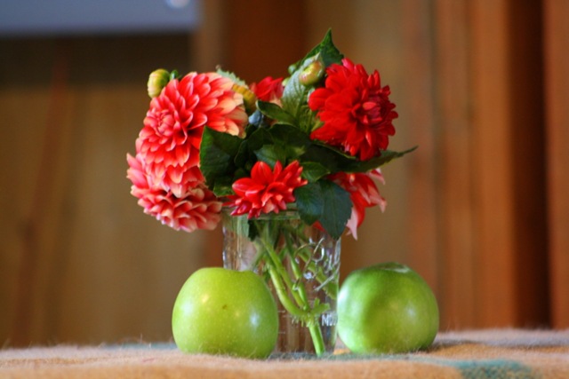 [apple party 041[3].jpg]