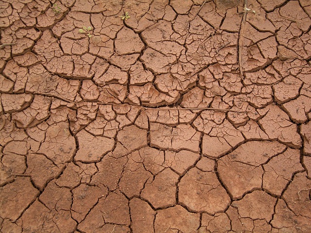 [Dried_mud[3].jpg]
