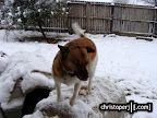 DSC07912.JPG