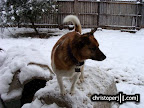 DSC07914.JPG